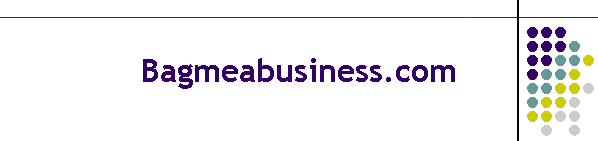 Bagmeabusiness.com